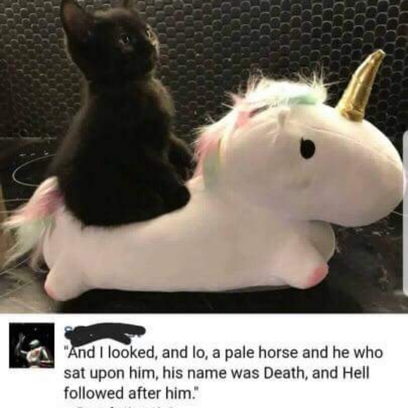 Meet your Posher, Victoria - Picture 1 of 1